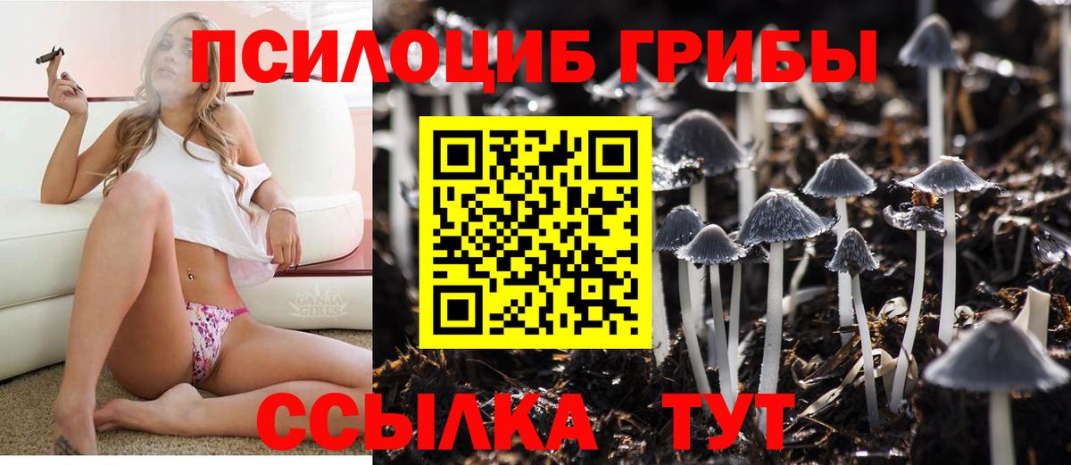 Псилоцибиновые грибы GOLDEN TEACHER Кузнецк