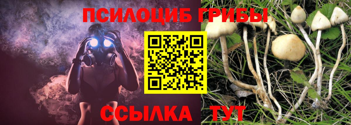 Галлюциногенные грибы Psilocybe  Псилоцибиновые грибы GOLDEN TEACHER  Вход с VPN  Кузнецк 